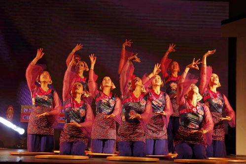 草根藝術(shù)團(tuán)綻芳華 順德社區(qū)巡演三載情，央視舞臺(tái)展風(fēng)采